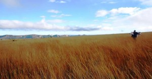 Malagasy-Tours-trekking-au-nord-makay-5